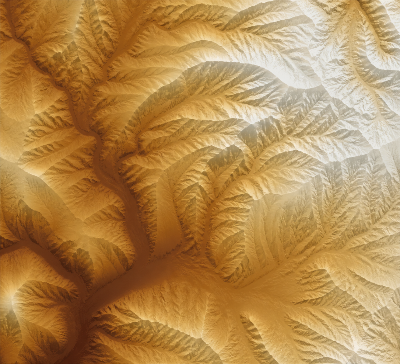 Modèle Numérique de Terrain MNT